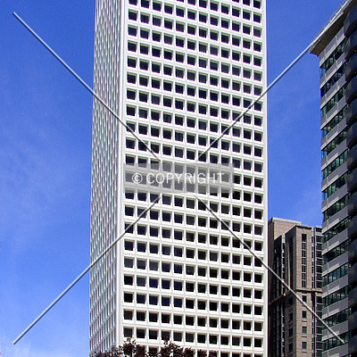 650 California Street by Chris Patriarca