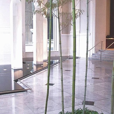 United Building by Daniel Kieckhefer