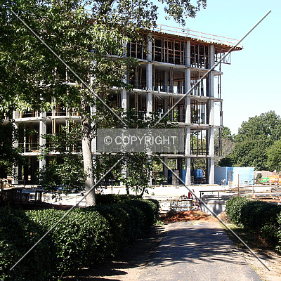 Rosewood Building I by Chris Patriarca