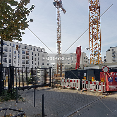 SOLID Home by Nephilim