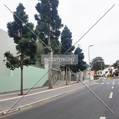 Estádio do Maritimo by Nephilim