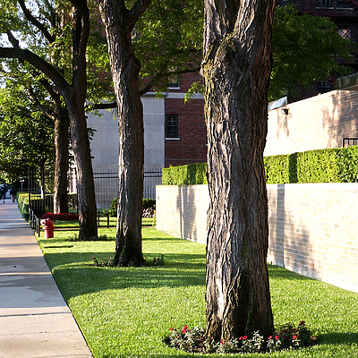 Stein Building by Daniel Kieckhefer
