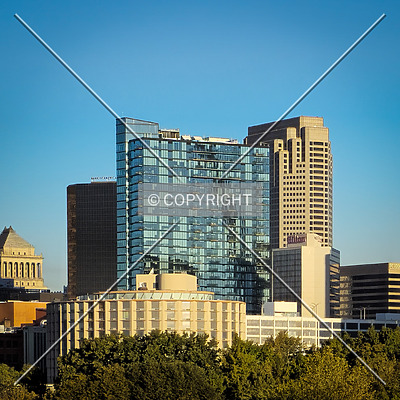 One Cardinal Way by Ryan Hildebrand