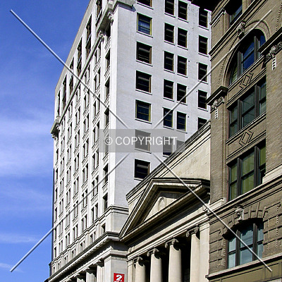 The Stahlman by Chris Patriarca