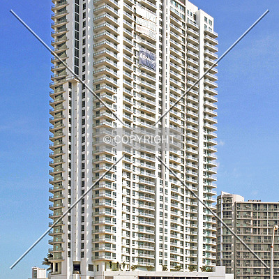 The Ivy by Jorge Molina