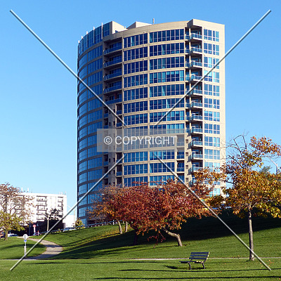 The Portofino by Nate Lindsey