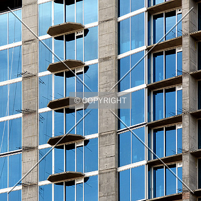 Avenue by Chris Patriarca