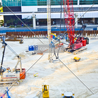 Monarc at Met 3 by Jorge Molina