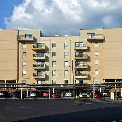 Fort Henry Arms by John W. Cahill