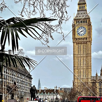 Palace of Westminster by Lisa Gillam