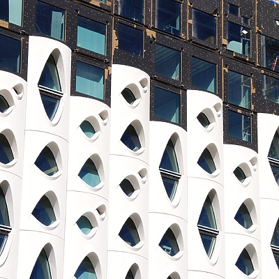 Populus by Brian LoBue