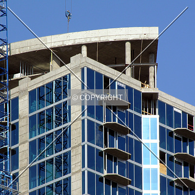 Avenue by Chris Patriarca