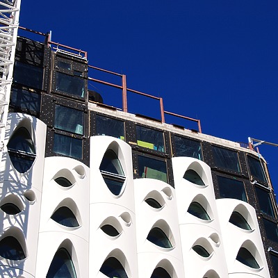 Populus by Brian LoBue