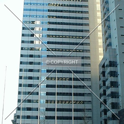 STEC Information Building by Andrew Stewart