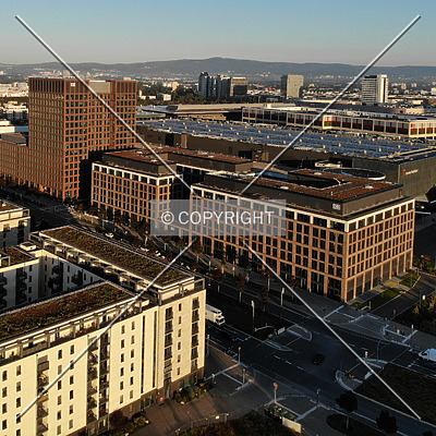 DB Brick by Nephilim