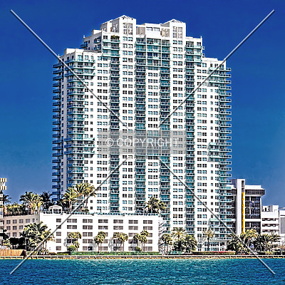 The Floridian by Jorge Molina