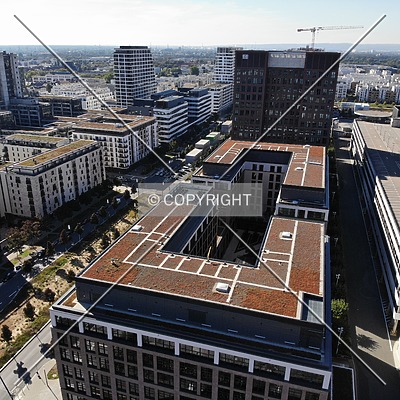 DB Brick by Nephilim