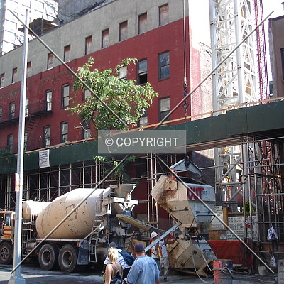 785 8th Avenue by Royce Douglas