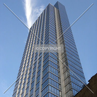 The Link by Royce Douglas