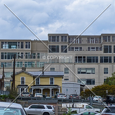 Waterhouse by Chris Patriarca