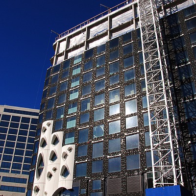 Populus by Brian LoBue