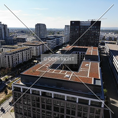 DB Brick by Nephilim