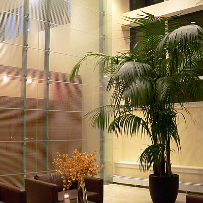 Parkview West by B. Victor Adams