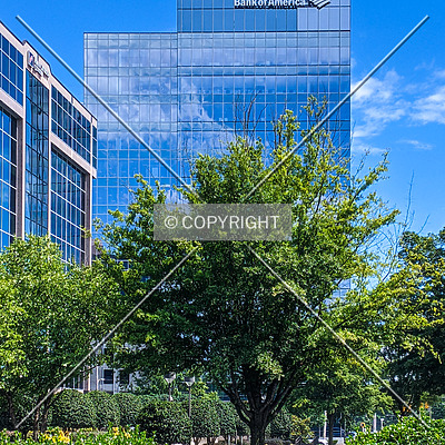 Bank of America Tower by Chris Patriarca