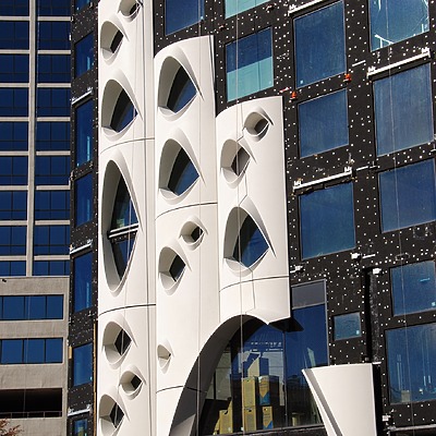 Populus by Brian LoBue