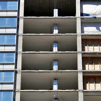 MoMo by B. Victor Adams