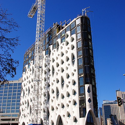 Populus by Brian LoBue