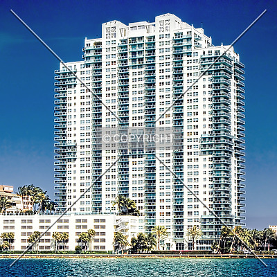 The Floridian by Jorge Molina