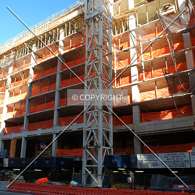 Emerald Green by Royce Douglas