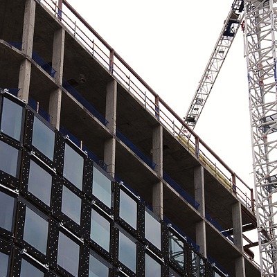 Populus by Brian LoBue