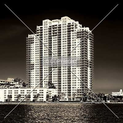 The Floridian by Jorge Molina