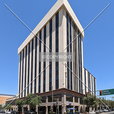 The Pioneer by Chris Patriarca