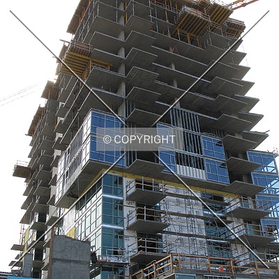 The Mark by Emmanuel D.