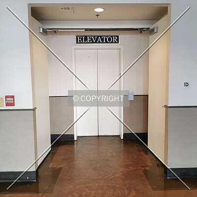 Flamingo Las Vegas by Nephilim