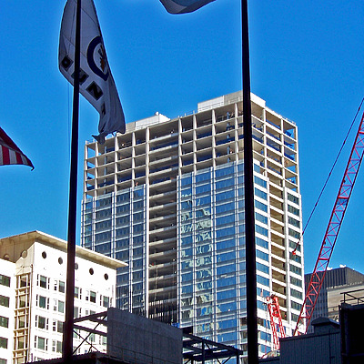 MoMo by Shawn Ursini