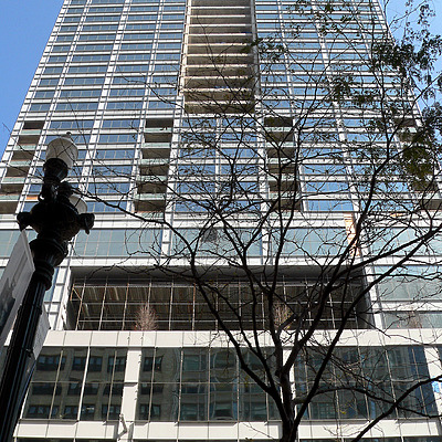 MoMo by B. Victor Adams