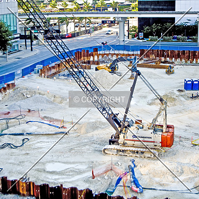 Monarc at Met 3 by Jorge Molina