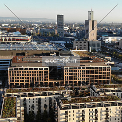 DB Brick by Nephilim