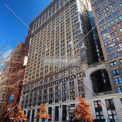 Whitehall Building Annex by Royce Douglas