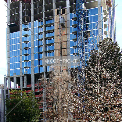 Avenue by Chris Patriarca