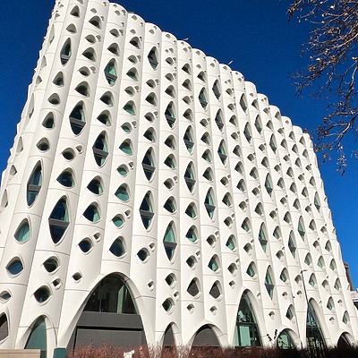 Populus by Brian LoBue