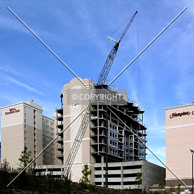 The Madison Charlotte by Chris Patriarca