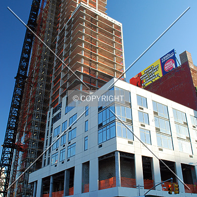 OHM by Royce Douglas