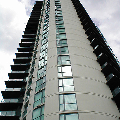 The 501 by Tom Finnegan