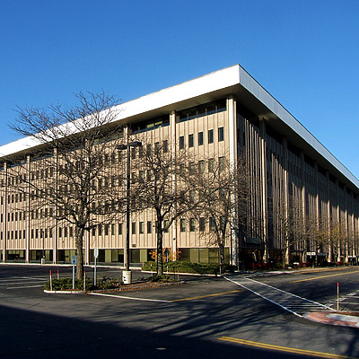 50 Wolf Road by John Cahill