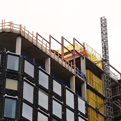 Populus by Brian LoBue